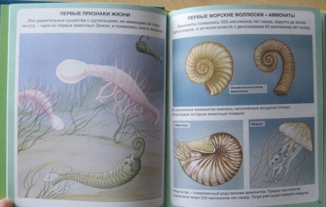 Твоя первая энциклопедия «Тайны моря»  